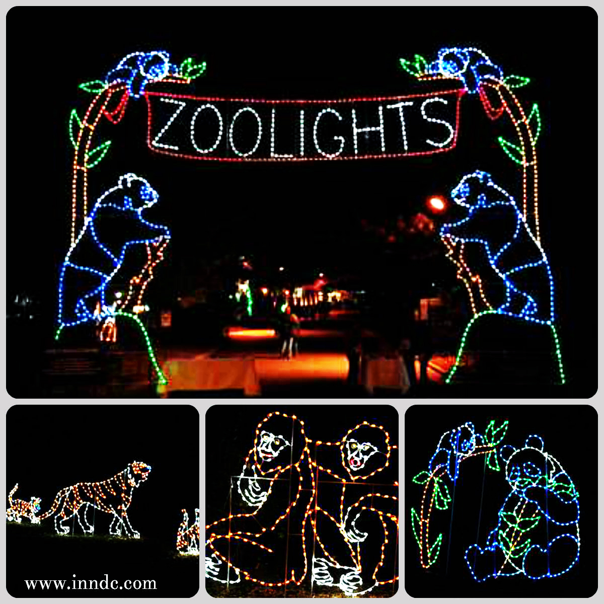 National Zoo Holiday Lights Dc